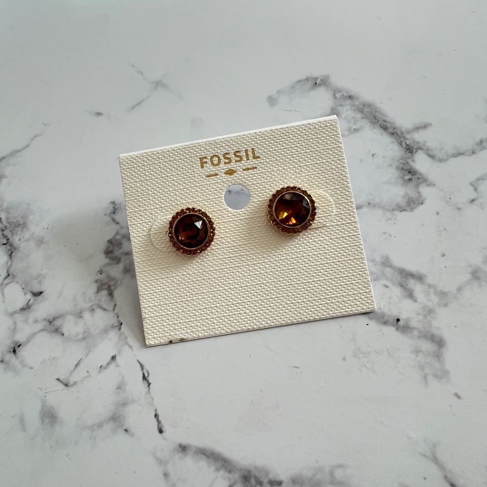 Fossil Amber Galaxy Stud Earrings